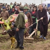 Deputy PM Truong Hoa Binh attends re-enacted field ploughing festival