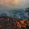 Indonesia sends thousands of security personnel to combat forest fires