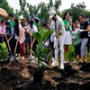 30,000 new trees to be planted across the country