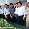 Measures sought to address renewable energy overcapacity in Ninh Thuan