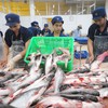 Opportunities for tra fish export sector