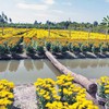Sa Dec flower village gets ready for new year