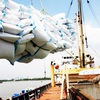 Export price of rice suffers dramatic decrease