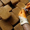 Italy arrests 19 in bust of international drug trafficking ring