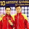 Gymnast Tung wins Vietnam’s second ticket to 2020 Tokyo Olympics