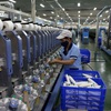 Fitch Ratings: Vietnam's economy is bright spot in the region