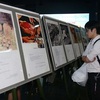 Photo exhibition spotlights pain of Vietnamese, Japanese war victims
