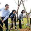 Over 100 thousand trees given to Binh Dinh