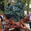 Vietnam to host Asia-Pacific Bonsai and Suiseki Festival