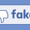 Facebook removes fake accounts ahead of EU election
