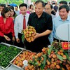Thanh Ha Lychee Festival 2019 opens in Hai Duong