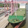 HCM City port welcomes largest-ever container ship
