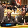 Senegal Ambassador: Vietnam attached to peace