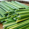 Vietnamese bamboo straws gain popularity in domestic market