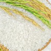 Rice exports faces challenges