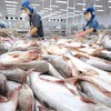 Tra fish price falls to 10-year low