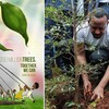 Ethiopia breaks ‘tree-planting” record
