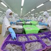 Vietnam, Australia boost farm produce trading