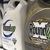 Jury finds Monstanto's Roundup cause a man's cancer
