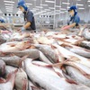 Tra fish exports to US, China decline