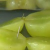 Needles found in bag of grapes in Australia