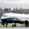 Family of 737 max planes grounded until problem identified