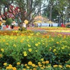Spring Flower Festival dazzles Ho Chi Minh City