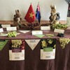 Australia to boost VN trade ties through table grapes