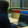 VN stocks rebound on purchasing