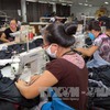 Đồng Nai project improves legal access for migrant workers