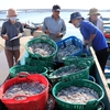 Formosa compensation to be spent on fishing logistics and aquatic ecosystem regeneration