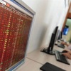 VN stocks plummet, insurance stocks hit hard