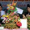 Sơn La exports 60 tonnes of locally-grown longan