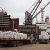 ​​​​​​Cement, clinker exports on track to reach yearly target