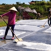 Salt workers struggle under the harsh sun