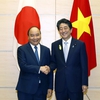 Vietnamese, Japanese PMs hold talks