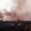 Quảng Nam extinguishes three forest fires
