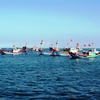 Fishermen urged to fight illegal fishing