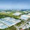 Many foreign companies move factories to Việt Nam: Savills