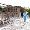 Hà Nội animal health sector well prevents diseases in rainy season