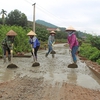 Bắc Giang improves roads in rural areas