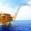 Việt Nam boasts huge petroleum engineering potential