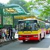 Hanoi open-top bus to operate through Tet