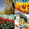 2018 - a year of records for the vietnamese export sector