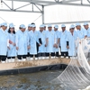 PM visits tra fish hi-tech production model in An Giang