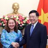 Deputy PM Pham Binh Minh receives Malaysian ambassador
