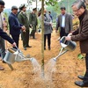 Tree-planting festival launched in Tuyen Quang province