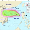 Vietnam braces for tropical storm Saudel