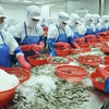 Vietnam ships first batch of shrimp to EU under new trade pact