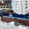 Vietnam seeks to bolster rice exports to Africa